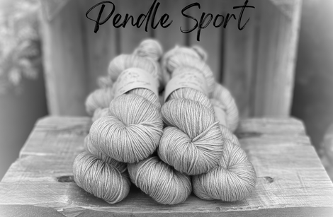 Pendle Sport 5 x 100g skein - Wholesale Only