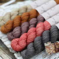 Five mini skeins of yarn. From left to right: a beige skein, a golden brown yarn, a brown skein, a red skein and a dark grey skein