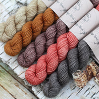 Five mini skeins of yarn. From left to right: a beige skein, a golden brown yarn, a brown skein, a red skein and a dark grey skein