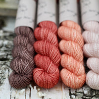 Four mini skeins of yarn. From left to right: a brown skein, a red skein, an orange skein and a beige skein