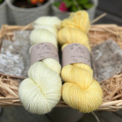 Two skeins of yarn in shades of yellow