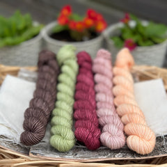 Five mini skeins of yarm. From left to right - a brown skein, a green skein, a reddish purple skein, a pink skein with gold sparkle running through it and a peachy skein