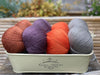 Four colour Milburn 4ply yarn pack -6 (200g)