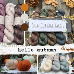 10 x Autumn/Winter themed 4ply Yarnlings™ (50g)