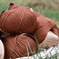 Milburn DK™ BFL/Silk in Rust (Dyelot 2023-A)