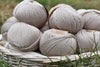 Milburn DK™ BFL/Silk in Wicker (Dyelot 2024-A)