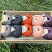 10 balls of yarn are sat in a wooden tray surrounded by grass. There are two balls of each colour. The colours from left to right are Steel, Charcoal, Crocosmia, Tea Rose and Black Tulip. The yarns create a palette of greys with orange, peach and dusky purple.