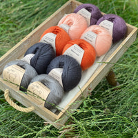 10 balls of yarn are sat in a wooden tray surrounded by grass. There are two balls of each colour. The colours from bottom left to top right are Steel, Charcoal, Crocosmia, Tea Rose and Black Tulip. The yarns create a palette of greys with orange, peach and dusky purple.