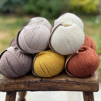 10 balls of yarn in five colours, a palette of browns
