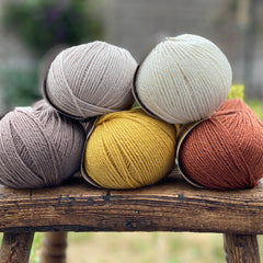 10 balls of yarn in five colours, a palette of browns 