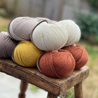 10 balls of yarn in five colours, a palette of browns