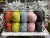 Five colour Milburn DK weight yarn pack -25 (1kg)