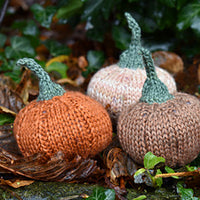 Munchkin Pumpkins by Victoria Magnus: Digital Download