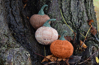 Munchkin Pumpkins knitting pattern: Digital Download