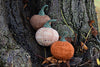 Munchkin Pumpkins by Victoria Magnus: Digital Download